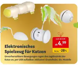 Das Futterhaus Elektronisches spielzeug für katzen Angebot