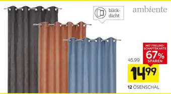 XXXLutz Ambiente ösenschal Angebot