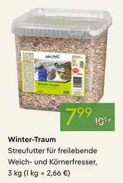 Pflanzen Kölle Winter-traum Angebot