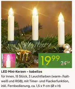Pflanzen Kölle Led mini-kerzen – kabellos Angebot