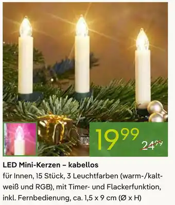 Pflanzen Kölle Led mini-kerzen – kabellos Angebot