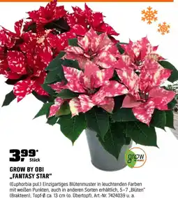 OBI Fantasy star Angebot