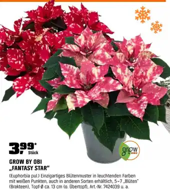 OBI Fantasy star Angebot