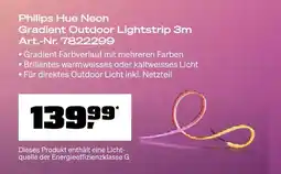 OBI Philips hue neon gradient outdoor lightstrip Angebot