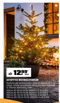 OBI Getopfter weihnachtsbaum Angebot