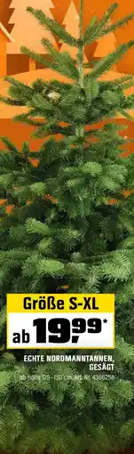 OBI Echte nordmanntannen, gesägt Angebot