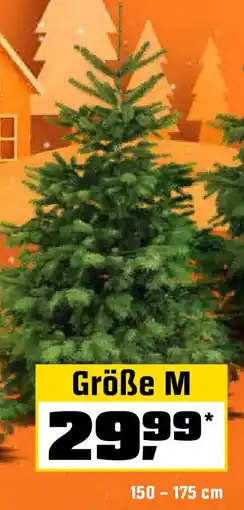 OBI Echte nordmanntannen, gesägt Angebot