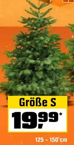 OBI Echte nordmanntannen, gesägt Angebot