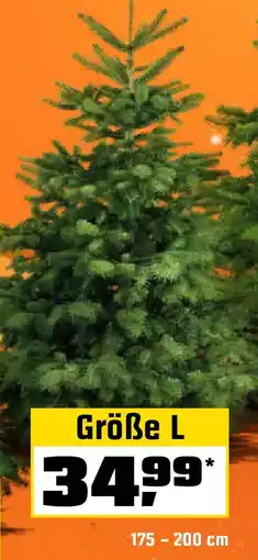 OBI Echte nordmanntannen, gesägt Angebot