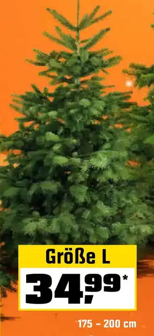 OBI Echte nordmanntannen, gesägt Angebot