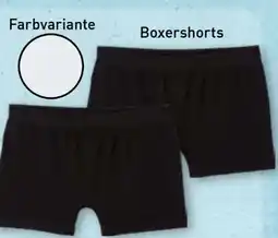 Aldi Nord Up2Fashion Damen Boxershorts 2er Pack Angebot