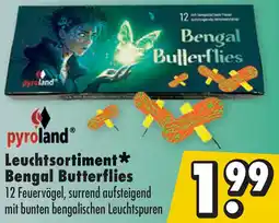 Mäc Geiz Pyroland Leuchtsortiment Bengal Butterflies Angebot