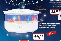 Idee+Spiel 2803 Musik-Nachtlicht mit Sternenhimmel- Projektion, Ozean Angebot