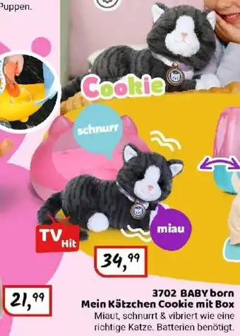 Idee+Spiel 3702 BABY born Mein Kätzchen Cookie mit Box Angebot