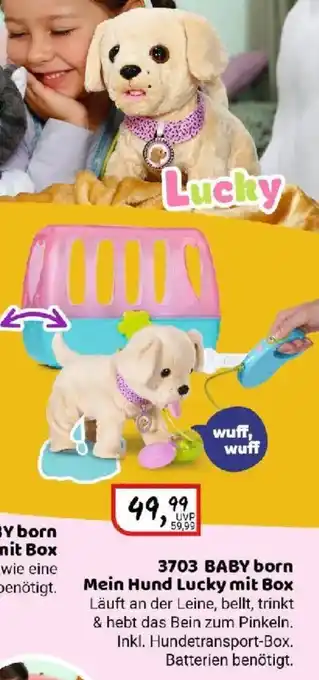 Idee+Spiel 3703 BABY born Mein Hund Lucky mit Box Angebot