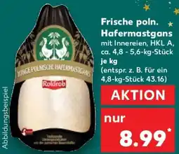Kaufland Frische poln. Hafermastgans Angebot