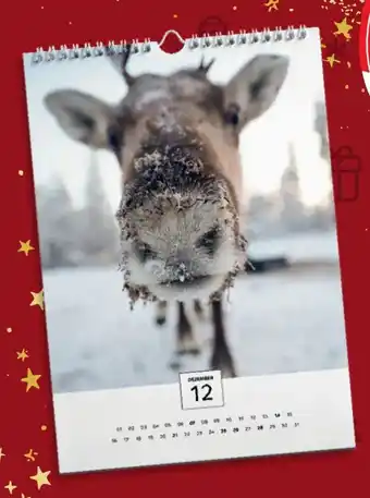 Kaufland Wandkalender A4 Angebot