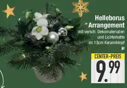 E-Center Helleborus Arrangement Angebot