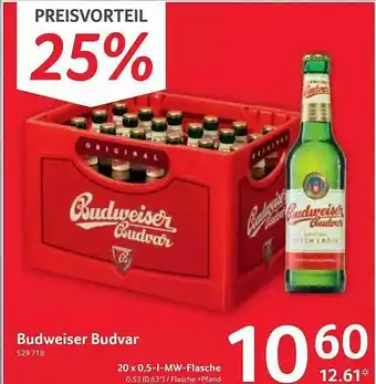 Selgros Budweiser Budvar Angebot