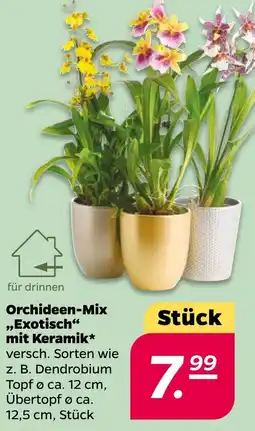 NETTO Orchideen-Mix ,,Exotisch" mit Keramik Angebot