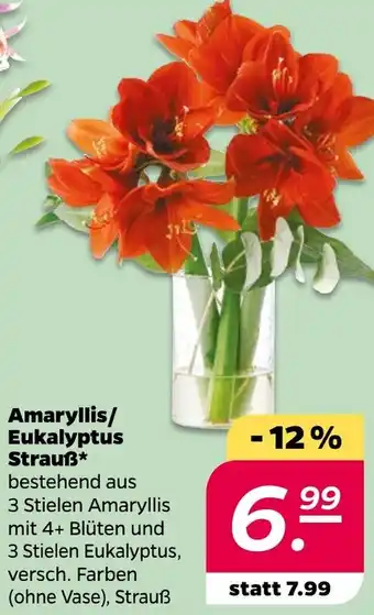 NETTO Amaryllis/ Eukalyptus Strauß Angebot