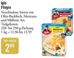 Galeria Markthalle Iglo Filegro Angebot