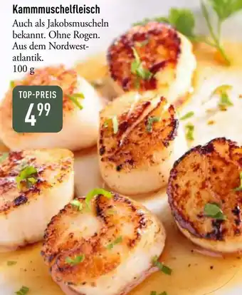 Galeria Markthalle Kammmuschelfleisch Angebot