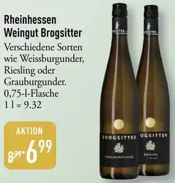 Galeria Markthalle Rheinhessen Weingut Brogsitter Angebot