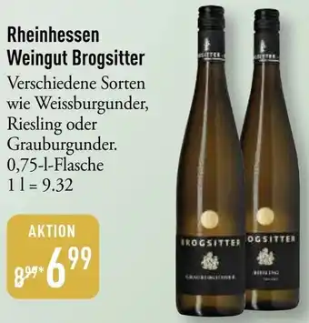 Galeria Markthalle Rheinhessen Weingut Brogsitter Angebot