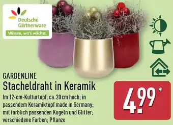 Aldi Nord GARDENLINE Stacheldraht in Keramik Angebot