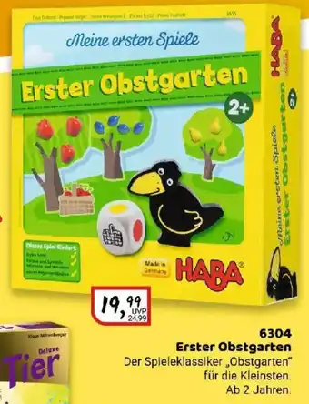 Idee+Spiel HABA 6304 Erster Obstgarten Angebot