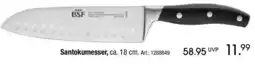 Zurbrüggen BSF Santokumesser Angebot