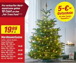 toom Baumarkt Nordmanntanne Angebot