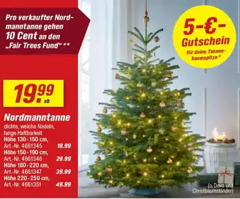 toom Baumarkt Nordmanntanne Angebot