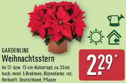 Aldi Nord GARDENLINE Weihnachtsstern Angebot