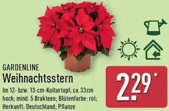 Aldi Nord GARDENLINE Weihnachtsstern Angebot