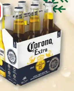 trinkgut Corona Extra Pils Angebot