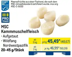 METRO MSC Kammmuschelfleisch Angebot