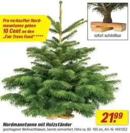 toom Baumarkt Nordmanntanne mit Holzständer Angebot