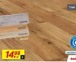 toom Baumarkt Laminat Angebot