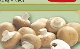 REWE Center Rewe Regional Champignons Angebot