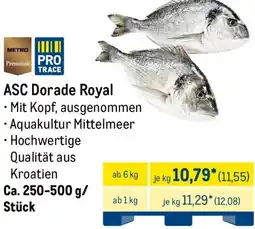 METRO METRO Premium ASC Dorade Royal Angebot