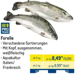 METRO Forelle Angebot