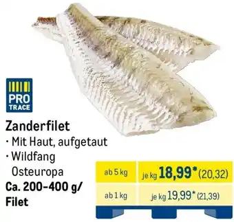 METRO Zanderfilet Angebot