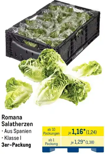 METRO Romana Salatherzen Angebot
