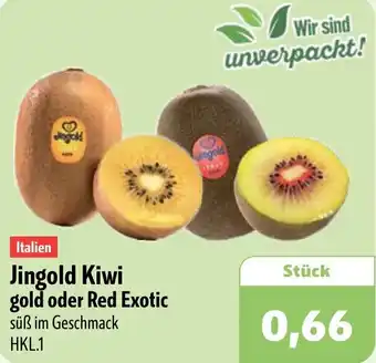 Aktiv Irma Italien Jingold Kiwi gold oder Red Exotic Angebot