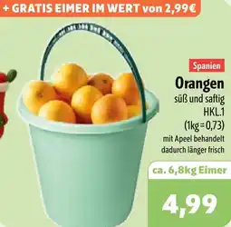 Aktiv Irma Spanien Orangen Angebot