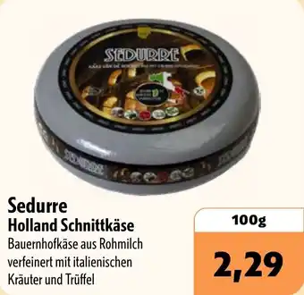 Aktiv Irma Sedurre Holland Schnittkäse Angebot
