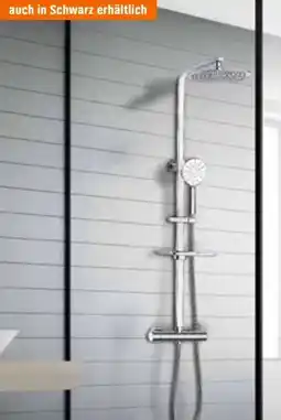 OBI Design Duschsystem Silver Lotus Angebot