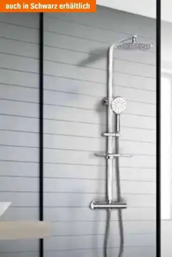 OBI Design Duschsystem Silver Lotus Angebot